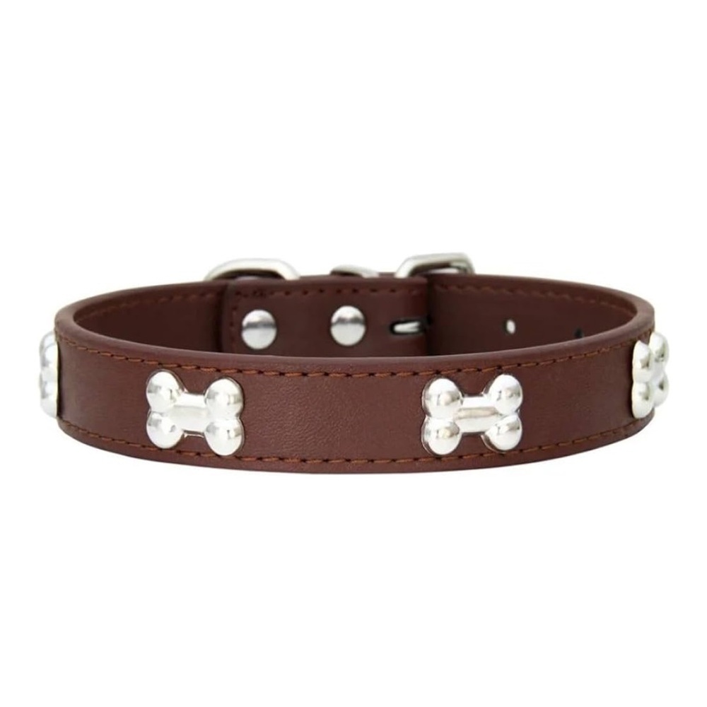 Brown Dog Collar with Silver Bone Accents